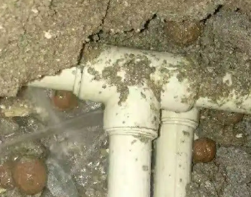 贞丰测漏水多少钱