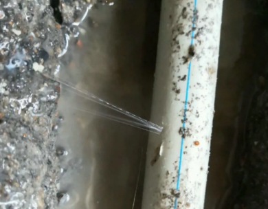 贞丰测漏水哪家好