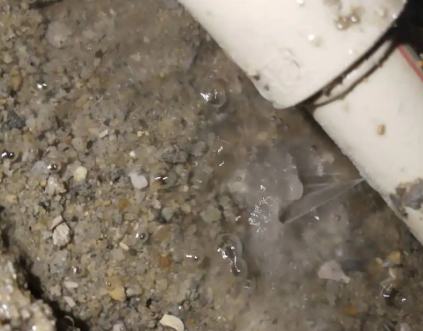 贞丰测漏水电话号码