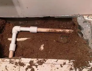 贞丰测漏水哪家好