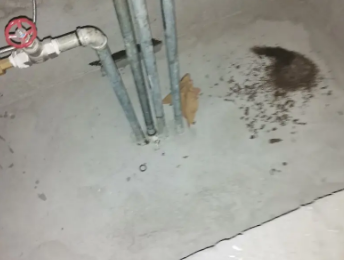 贞丰卫生间测漏水价格明细