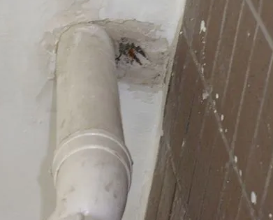 贞丰漏水检测哪家好